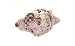 Nissan / UniCarriers Lichtmaschine 2G3016NF1 2