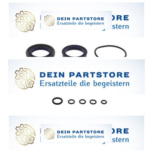 Jungheinrich AM2200 (ab 01/2007) Dichtsatz – Gabelstapler Ersatzteil