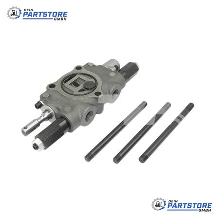 Daewoo Ventil (Sektion) 69310FK100