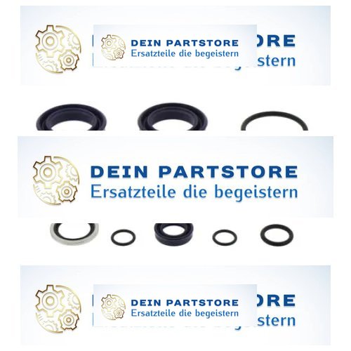 Pramac GS Premium Dichtsatz