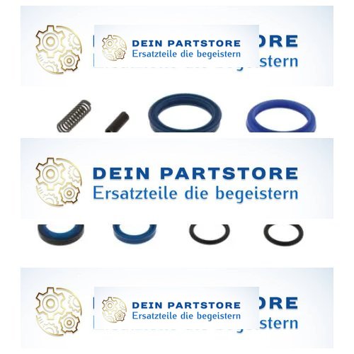 Bolzoni TSM 1 Easylift Dichtsatz
