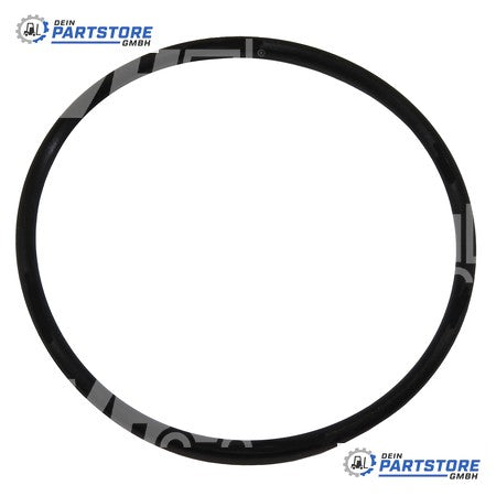 Steinbock O-Ring 0028394