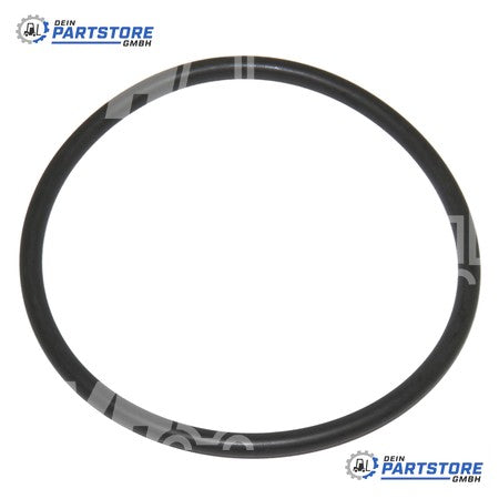 Lansing O-Ring 0009631019